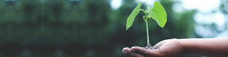 Accelerated Digital and Sustainable Strategies Transform Global Business